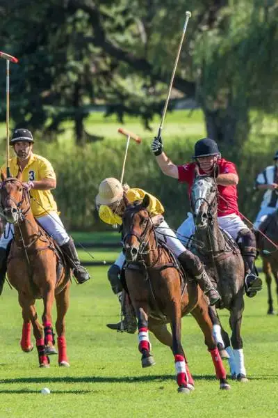 Eight people on horseback playing Polo